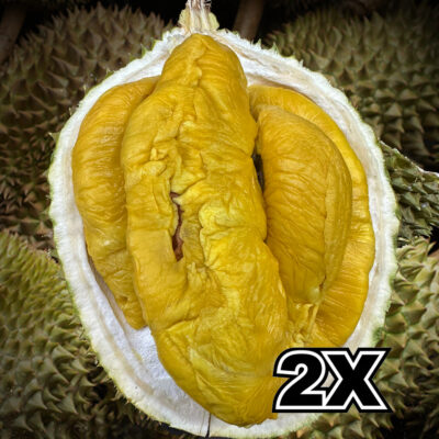 ⭐ BUNDLE:   Tiger Black Gold Durian (2 x 800g)