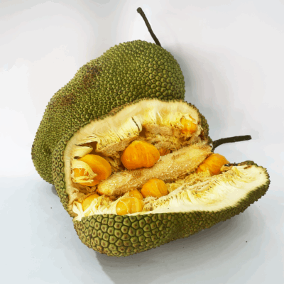 Cempedak (500g)