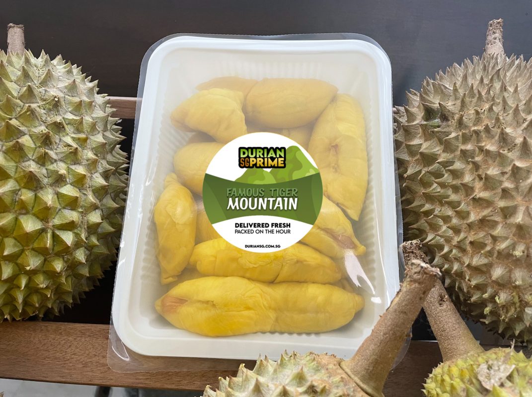 🔥 Freshly Frozen Tiger Black Gold Durian (800g Box All Meat)