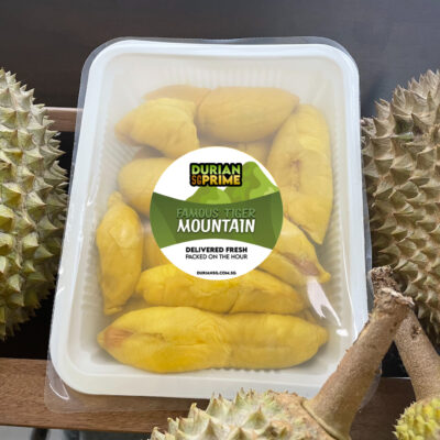 🔥 Freshly Frozen Tiger Old Tree MSW Durian (800g Box - All Meat)