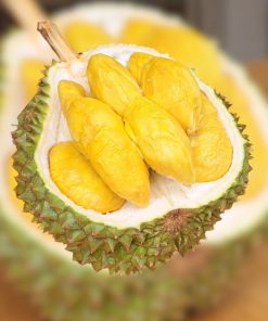 bundle1 penang Durian sg prime penang 0404