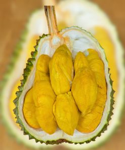 _bundle2 penang Durian sg prime penang 0404