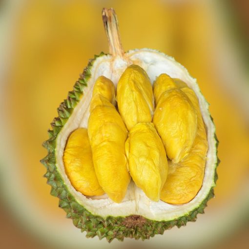 Durian sg prime penang 0404
