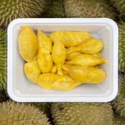 Penang gsk durian 2nd