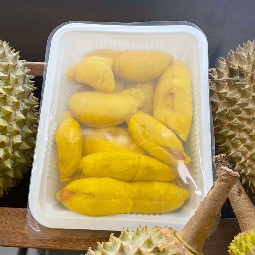 Penang old tree durian 2nd