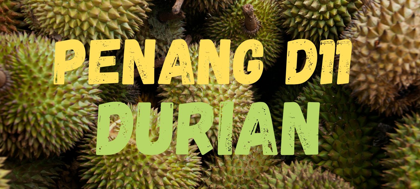 d11 durian