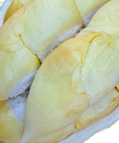 Penang D11 durian sg prime 1905