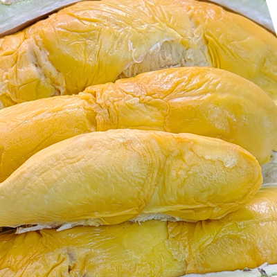 Yuan bao durian