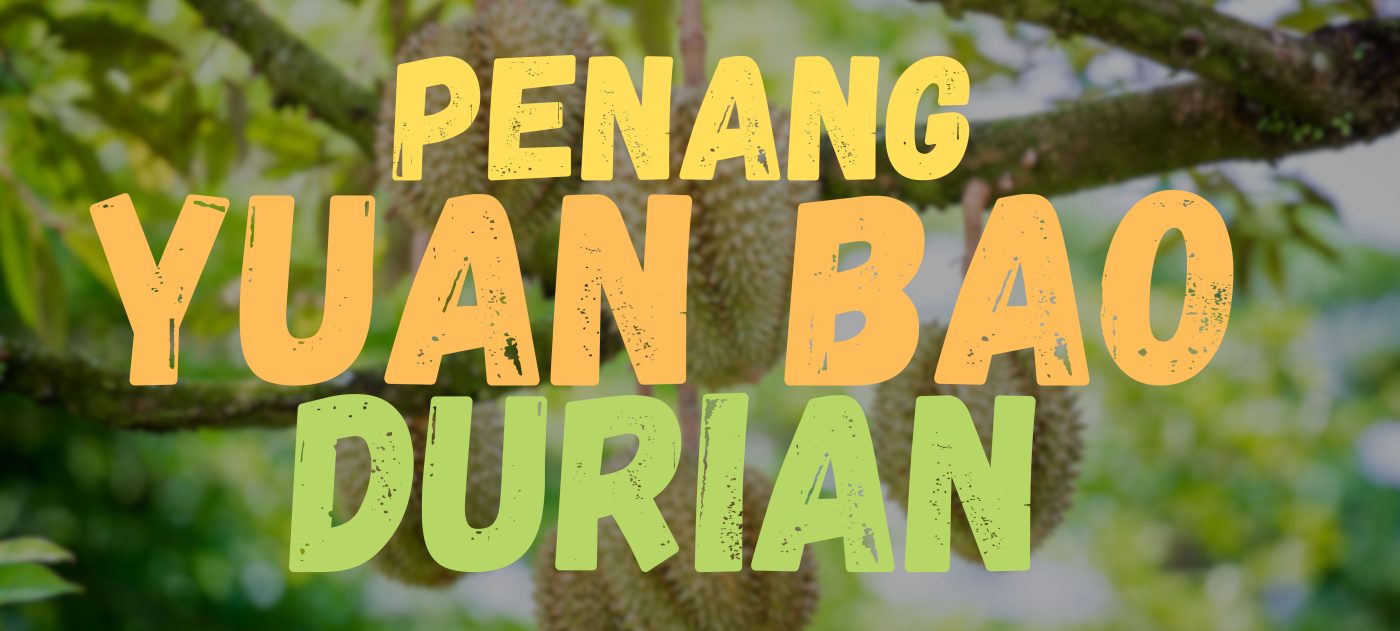 Yuan bao durian