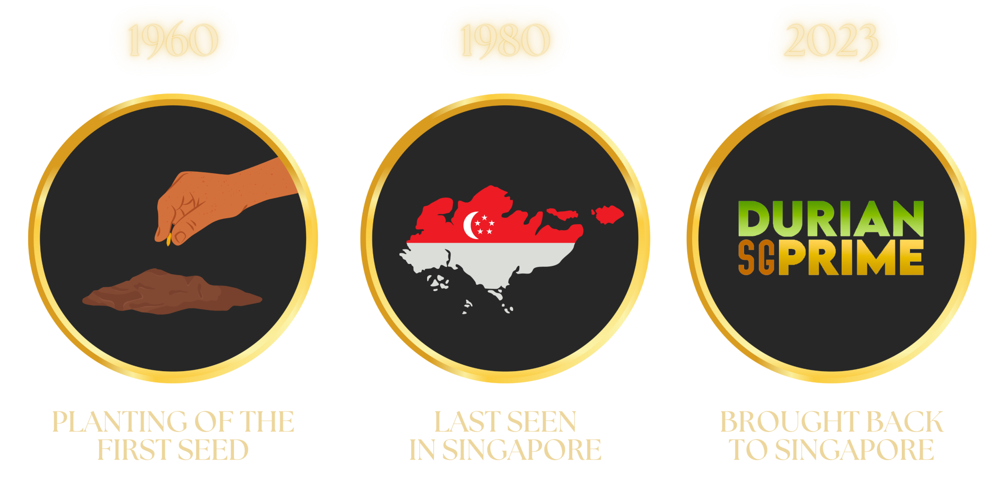 RARE RAJA KUNYIT DURIAN Durian SG Prime